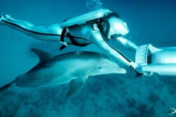 Cousteau Divers Cousteau Divers