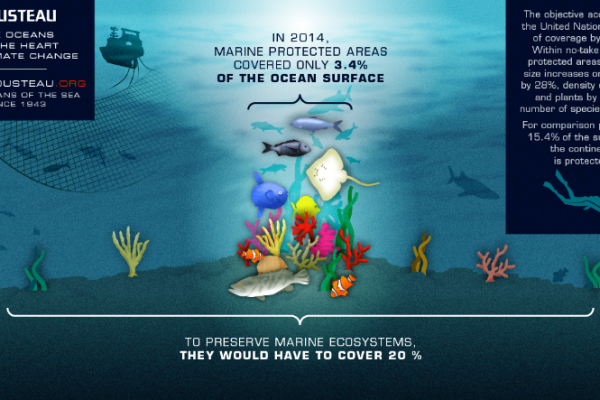 The ocean at the heart of climate change The ocean at the heart of climate change