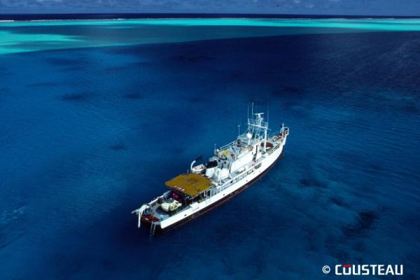 Cousteau: Mise à jour concernant Calypso Cousteau: Mise à jour concernant Calypso